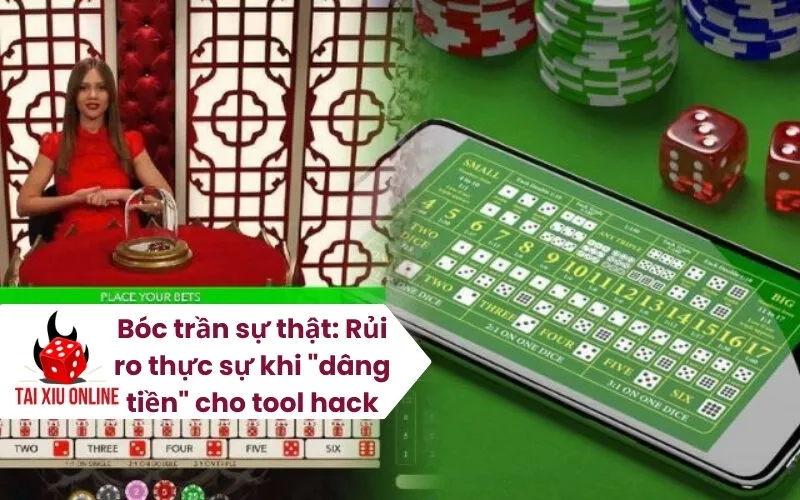 Bóc trần sự thật Rủi ro thực sự khi dâng tiền cho tool hack