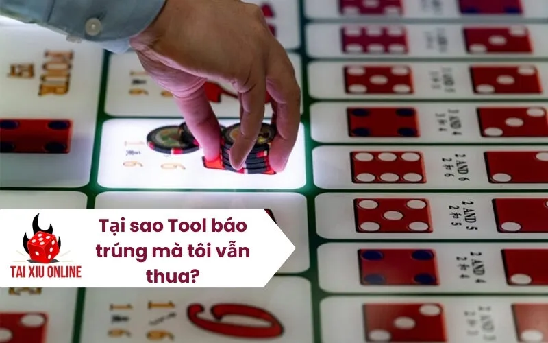 Tại sao Tool báo trúng mà tôi vẫn thua